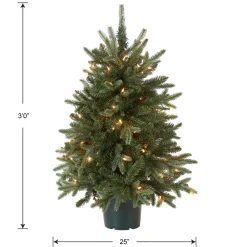 Best National Tree Company 3 ft. Pre-Lit Everyday Collection Tree with Clear Lights