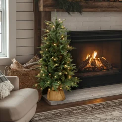 Discount National Tree Company 4 ft. Pre-Lit Everyday Collection Tree with Clear Lights