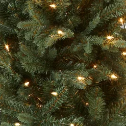 Discount National Tree Company 4 ft. Pre-Lit Everyday Collection Tree with Clear Lights