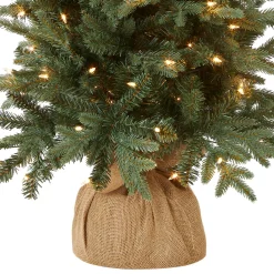 Discount National Tree Company 4 ft. Pre-Lit Everyday Collection Tree with Clear Lights