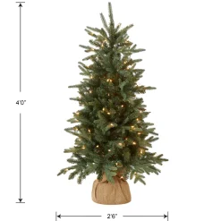 Discount National Tree Company 4 ft. Pre-Lit Everyday Collection Tree with Clear Lights