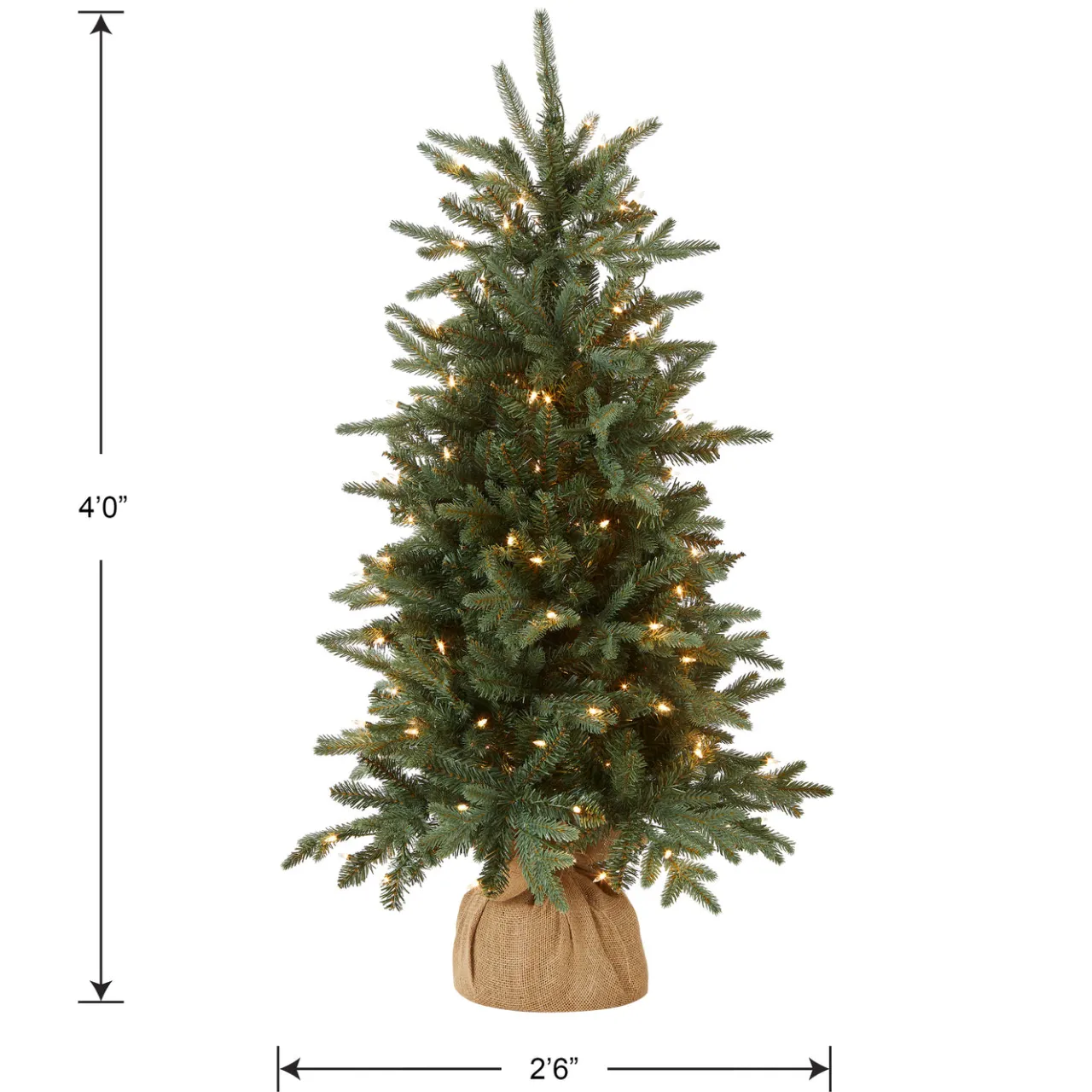 Discount National Tree Company 4 ft. Pre-Lit Everyday Collection Tree with Clear Lights