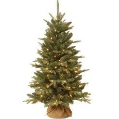 Discount National Tree Company 4 ft. Pre-Lit Everyday Collection Tree with Clear Lights