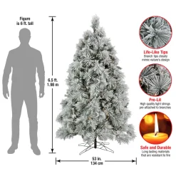 Hot National Tree Company 6.5 ft. Pre-Lit Flocked Bavarian Pine Tree