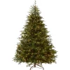 Hot National Tree Company 7.5 ft. Pre-Lit Fraser Grande Tree with Dual Color LED Lights