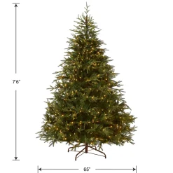 Hot National Tree Company 7.5 ft. Pre-Lit Fraser Grande Tree with Dual Color LED Lights