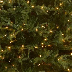 New National Tree Company 6.5 ft. Pre-Lit Fraser Grande Tree with Dual Color LED Lights