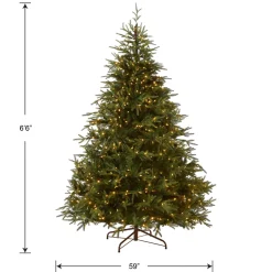 New National Tree Company 6.5 ft. Pre-Lit Fraser Grande Tree with Dual Color LED Lights