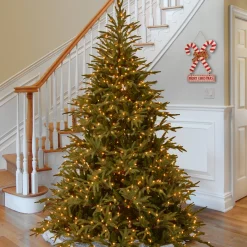 Sale National Tree Company 9 ft. Pre-Lit Fraser Grande Tree with Dual Color LED Lights