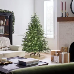 Outlet National Tree Company 6 ft. Pre-Lit Fraser Grande with Dual Color LED Lights