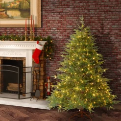 Outlet National Tree Company 6 ft. Pre-Lit Fraser Grande with Dual Color LED Lights