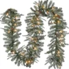 New National Tree Company 9 ft. Pre-Lit Frosted Arctic Spruce Garland with Clear Lights