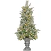 Clearance National Tree Company 4 ft. Pre-Lit Frosted Colonial Fir Tree with Warm White LED Lights