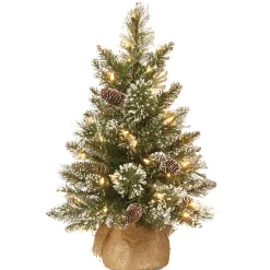Sale National Tree Company 2 ft. Pre-Lit Glittery Bristle Tree with LED Lights
