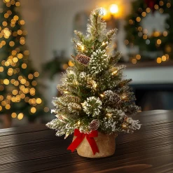 Sale National Tree Company 2 ft. Pre-Lit Glittery Bristle Tree with LED Lights