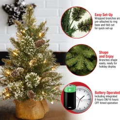 Sale National Tree Company 2 ft. Pre-Lit Glittery Bristle Tree with LED Lights