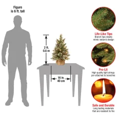 Sale National Tree Company 2 ft. Pre-Lit Glittery Bristle Tree with LED Lights