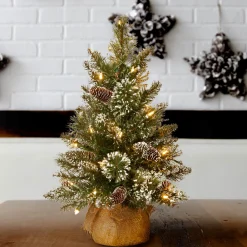 Sale National Tree Company 2 ft. Pre-Lit Glittery Bristle Tree with LED Lights