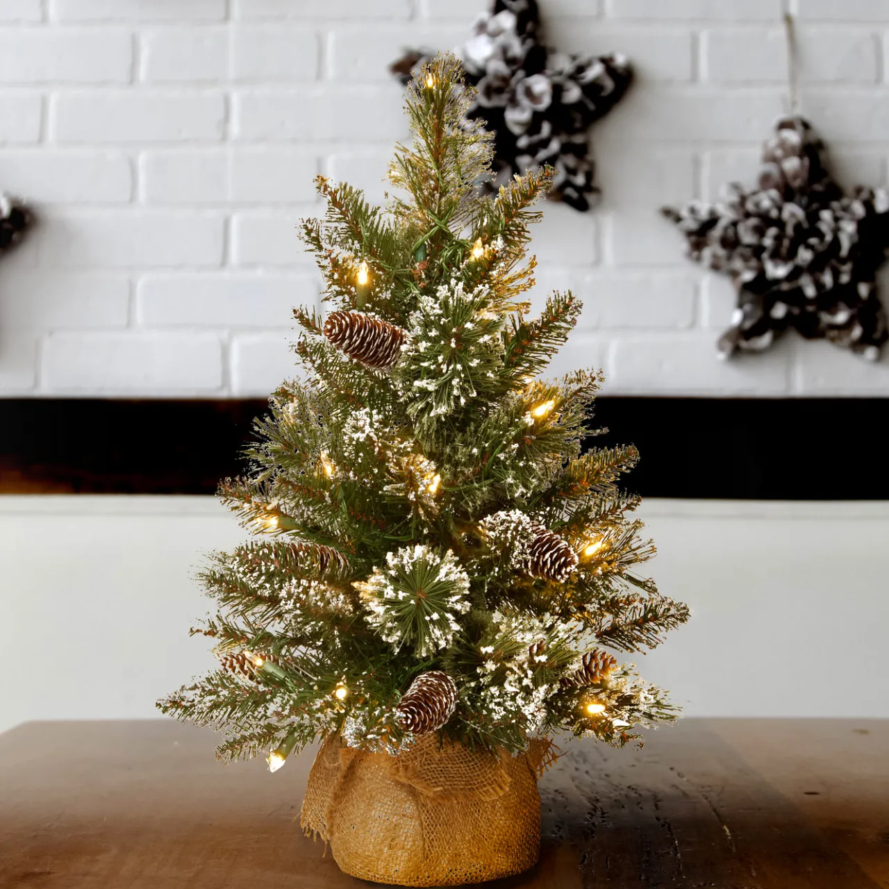 Sale National Tree Company 2 ft. Pre-Lit Glittery Bristle Tree with LED Lights