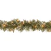 Hot National Tree Company 9 ft. Pre-Lit Glittery Bristle Pine Garland with Clear Lights