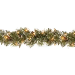 Hot National Tree Company 9 ft. Pre-Lit Glittery Bristle Pine Garland with Clear Lights