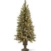 Outlet National Tree Company 4 ft. Pre-Lit Glittery Bristle Tree with Warm White LED Lights