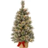 Clearance National Tree Company 3 ft. Pre-Lit Glittery Bristle Tree with LED Lights
