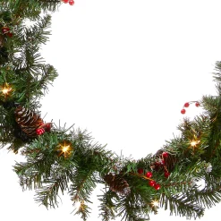 Discount National Tree Company 9 ft. Pre-Lit Glittery Mountain Spruce Garland with Clear Lights
