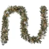 Hot National Tree Company 9 ft. Pre-Lit Glittery Pine Pomegranate Garland with Clear Lights