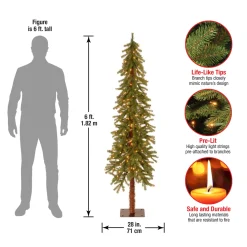 Best National Tree Company 6 ft. Pre-Lit Hickory Cedar Tree with Clear Lights