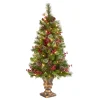 Sale National Tree Company 4 ft. Pre-Lit Iced Berry Pine Entrance Tree with Clear Lights