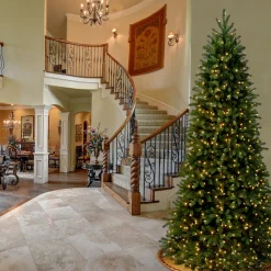 Discount National Tree Company 9 ft. Pre-Lit Jersey Fraser Fir Slim Tree with Clear Lights