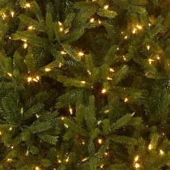 Hot National Tree Company 7.5 ft. Pre-Lit Jersey Fraser Fir Medium Tree with Dual Color LED Lights