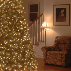 Sale National Tree Company 7.5 ft. Pre-Lit Jersey Fraser Fir Medium Tree with Clear Lights