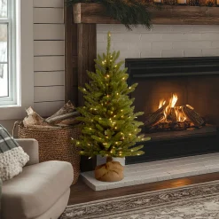 Online National Tree Company 4 ft. Pre-Lit Kensington Fir Tree in a Burlap Sack with Clear Lights