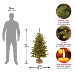 Online National Tree Company 4 ft. Pre-Lit Kensington Fir Tree in a Burlap Sack with Clear Lights