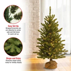 Online National Tree Company 4 ft. Pre-Lit Kensington Fir Tree in a Burlap Sack with Clear Lights