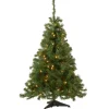 Outlet National Tree Company 4 ft. Pre-Lit Kincaid Spruce Tree with Clear Lights