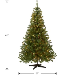 Online National Tree Company 6 ft. Pre-Lit Kincaid Spruce Tree with Clear Lights
