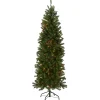 Best National Tree Company 6.5 ft. Pre-Lit Kingswood Fir Pencil Tree with Multicolor Lights
