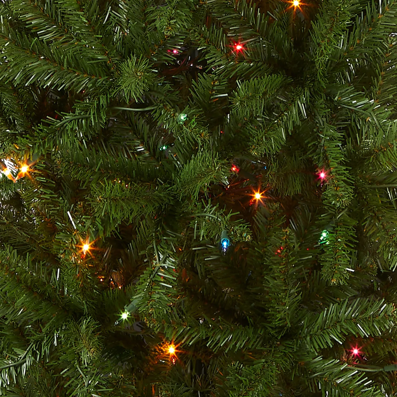 Best National Tree Company 6.5 ft. Pre-Lit Kingswood Fir Pencil Tree with Multicolor Lights