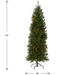 Best National Tree Company 6.5 ft. Pre-Lit Kingswood Fir Pencil Tree with Multicolor Lights