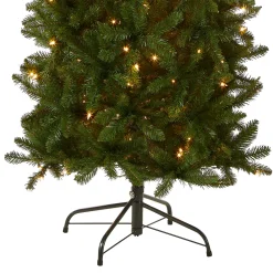 Discount National Tree Company 7.5 ft. Pre-Lit Kingswood Fir Pencil Tree with Clear Lights