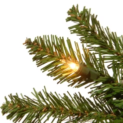 Discount National Tree Company 7.5 ft. Pre-Lit Kingswood Fir Pencil Tree with Clear Lights
