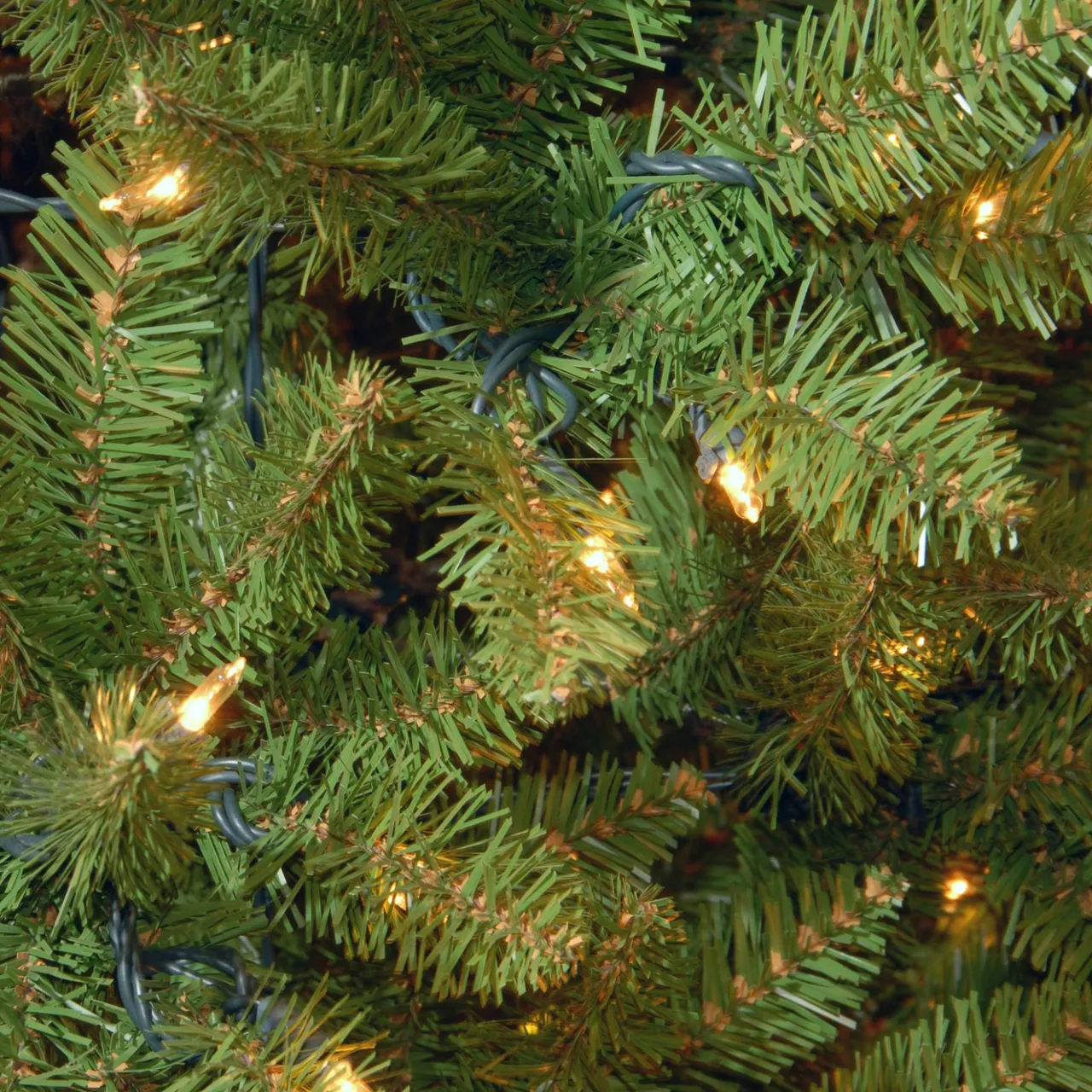Outlet National Tree Company 7 ft. Pre-Lit Kingswood Fir Pencil Tree with Clear Lights