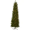 Hot National Tree Company 6.5 ft. Pre-Lit Kingswood Fir Pencil Tree with Clear Lights