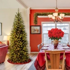 Hot National Tree Company 6.5 ft. Pre-Lit Kingswood Fir Pencil Tree with Clear Lights