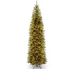 Discount National Tree Company 9 ft. Pre-Lit Kingswood Fir Pencil Tree with Clear Lights