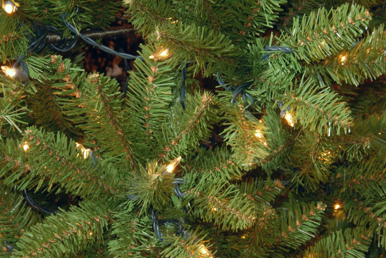 Discount National Tree Company 9 ft. Pre-Lit Kingswood Fir Pencil Tree with Clear Lights