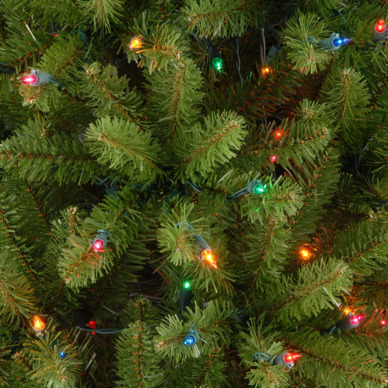 Best National Tree Company 7 ft. Pre-Lit Kingswood Fir Pencil Tree with Multicolor Lights